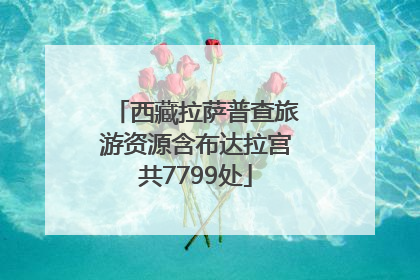西藏拉萨普查旅游资源含布达拉宫共7799处