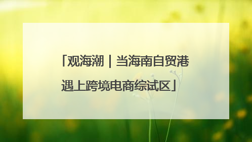 观海潮｜当海南自贸港遇上跨境电商综试区