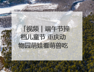 视频｜端午节撞档儿童节 重庆动物园萌娃看萌兽吃特色粽子大餐