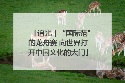 追光｜“国际范”的龙舟赛 向世界打开中国文化的大门