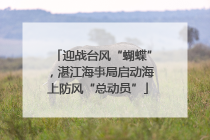 迎战台风“蝴蝶”，湛江海事局启动海上防风“总动员”