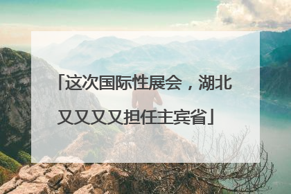 这次国际性展会，湖北又又又又担任主宾省