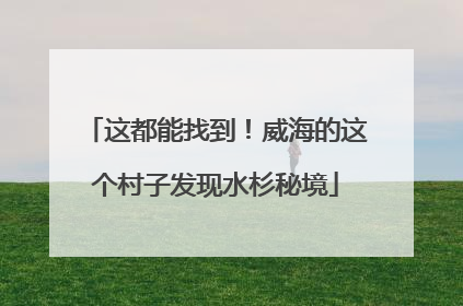 这都能找到！威海的这个村子发现水杉秘境