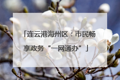 连云港海州区：市民畅享政务“一网通办”