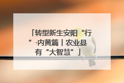转型新生安阳“行”·内黄篇丨农业县有“大智慧”