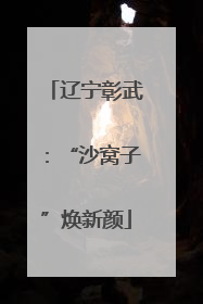 辽宁彰武：“沙窝子”焕新颜