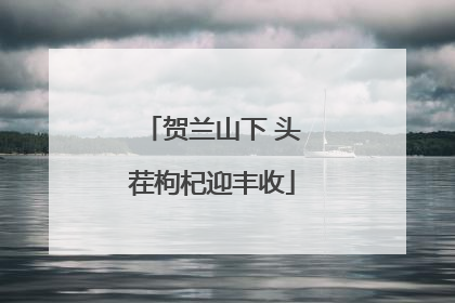 贺兰山下 头茬枸杞迎丰收