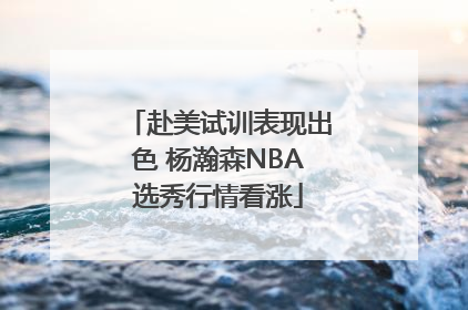 赴美试训表现出色 杨瀚森NBA选秀行情看涨