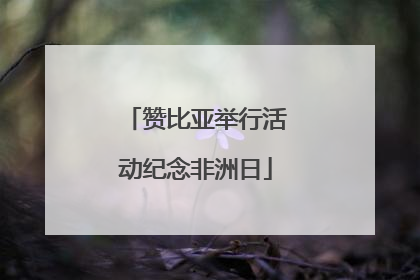 赞比亚举行活动纪念非洲日
