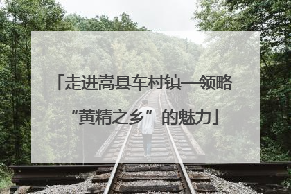 走进嵩县车村镇—领略“黄精之乡”的魅力