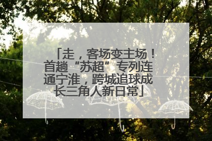 走，客场变主场！首趟“苏超”专列连通宁淮，跨城追球成长三角人新日常