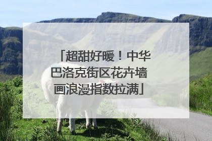 超甜好暖！中华巴洛克街区花卉墙画浪漫指数拉满