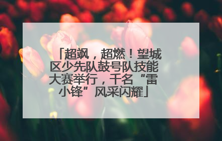超飒，超燃！望城区少先队鼓号队技能大赛举行，千名“雷小锋”风采闪耀