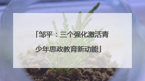 邹平：三个强化激活青少年思政教育新动能