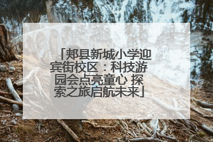 郏县新城小学迎宾街校区：科技游园会点亮童心 探索之旅启航未来