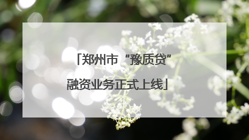 郑州市“豫质贷”融资业务正式上线