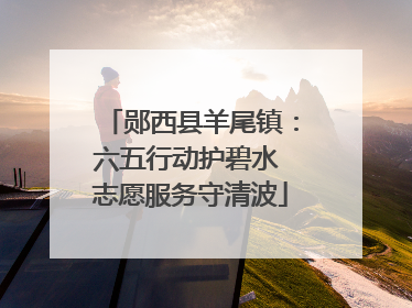 郧西县羊尾镇：六五行动护碧水 志愿服务守清波