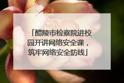 醴陵市检察院进校园开讲网络安全课，筑牢网络安全防线