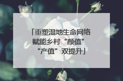 重塑湿地生命网络 赋能乡村“颜值”“产值”双提升