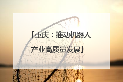 重庆：推动机器人产业高质量发展