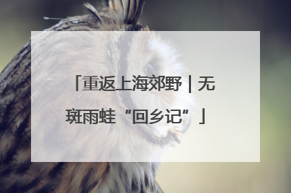 重返上海郊野｜无斑雨蛙“回乡记”