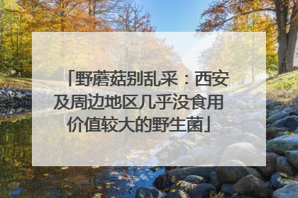 野蘑菇别乱采：西安及周边地区几乎没食用价值较大的野生菌