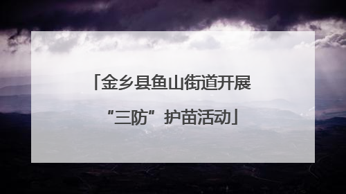 金乡县鱼山街道开展“三防”护苗活动