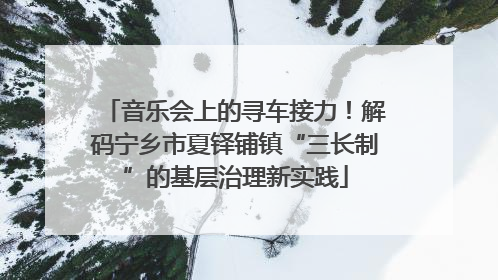 音乐会上的寻车接力！解码宁乡市夏铎铺镇“三长制”的基层治理新实践