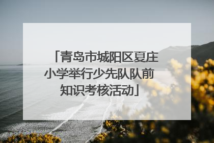 青岛市城阳区夏庄小学举行少先队队前知识考核活动