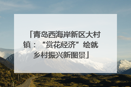 青岛西海岸新区大村镇：“赏花经济”绘就乡村振兴新图景