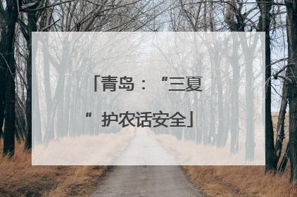 青岛：“三夏”护农话安全