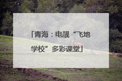 青海：电靓“飞地学校”多彩课堂