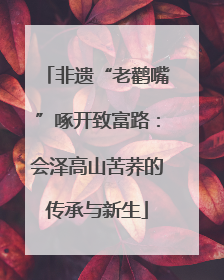 非遗“老鹳嘴”啄开致富路：会泽高山苦荞的传承与新生