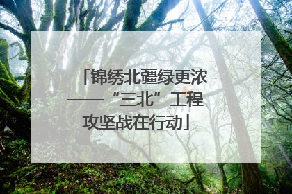 锦绣北疆绿更浓——“三北”工程攻坚战在行动