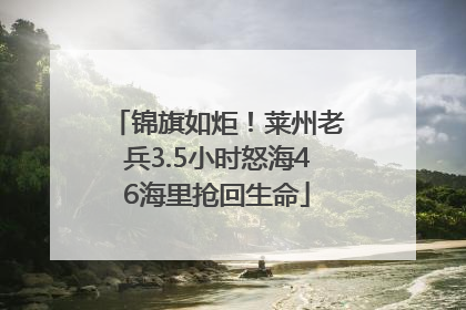 锦旗如炬！莱州老兵3.5小时怒海46海里抢回生命
