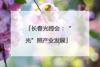 长春光博会：“光”照产业发展