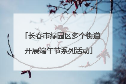 长春市绿园区多个街道开展端午节系列活动