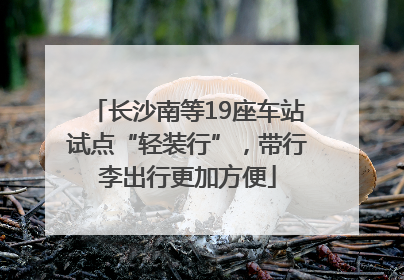 长沙南等19座车站试点“轻装行”，带行李出行更加方便