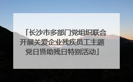 长沙市多部门党组织联合开展关爱企业残疾员工主题党日暨助残日特别活动