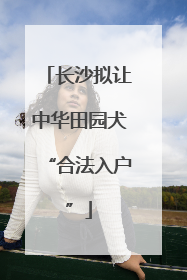 长沙拟让中华田园犬“合法入户”
