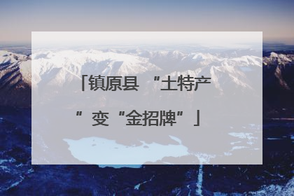 镇原县 “土特产”变“金招牌”