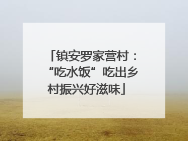 镇安罗家营村：“吃水饭”吃出乡村振兴好滋味