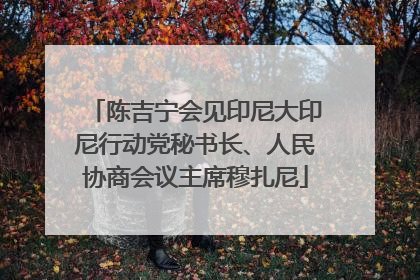 陈吉宁会见印尼大印尼行动党秘书长、人民协商会议主席穆扎尼