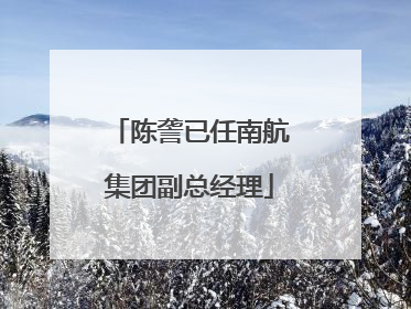 陈詟已任南航集团副总经理