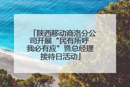 陕西移动商洛分公司开展“民有所呼 我必有应”暨总经理接待日活动