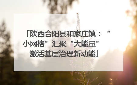 陕西合阳县和家庄镇：“小网格”汇聚“大能量” 激活基层治理新动能