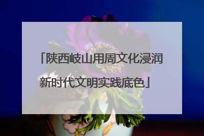 陕西岐山用周文化浸润新时代文明实践底色