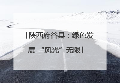 陕西府谷县：绿色发展 “风光”无限