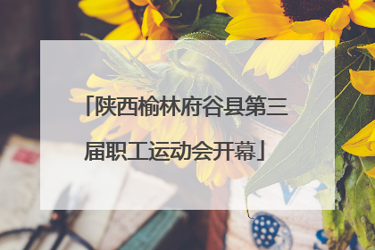 陕西榆林府谷县第三届职工运动会开幕