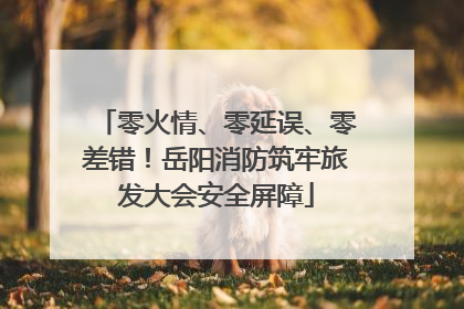零火情、零延误、零差错！岳阳消防筑牢旅发大会安全屏障